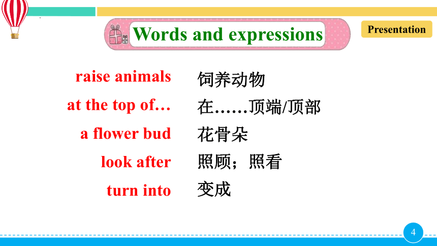 Lesson12 Danny's Plant 课件 (共17张PPT)2022-2023学年冀教版八年级英语下册