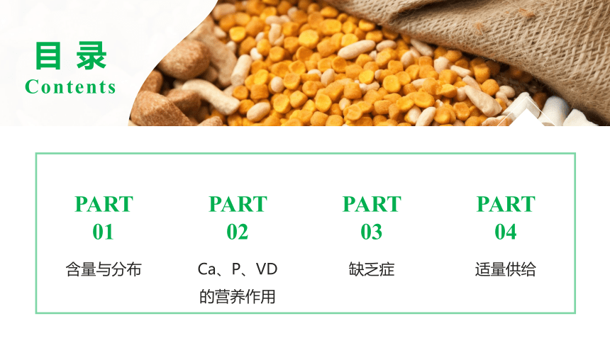 1.2.5钙、磷的营养作用与缺乏症 课件(共67张PPT)-《畜禽营养与饲料》同步教学（高教版）