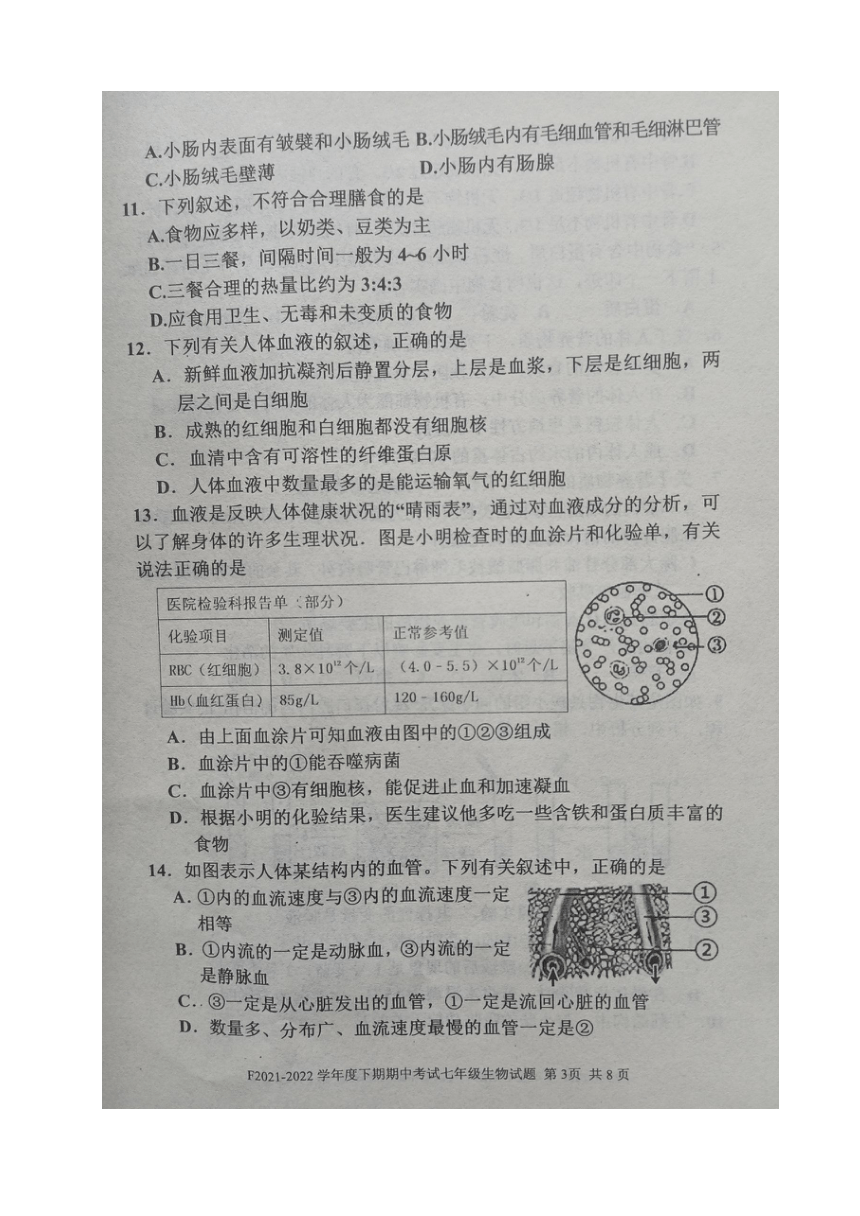 河南省周口市扶沟县2021-2022学年七年级下学期期中考试生物试卷（图片版 有答案）