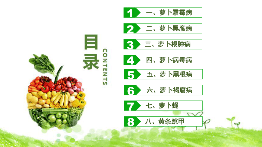 9.1.2病虫害防治 课件(共18张PPT)-《蔬菜生产技术》同步教学（中国农业出版社）