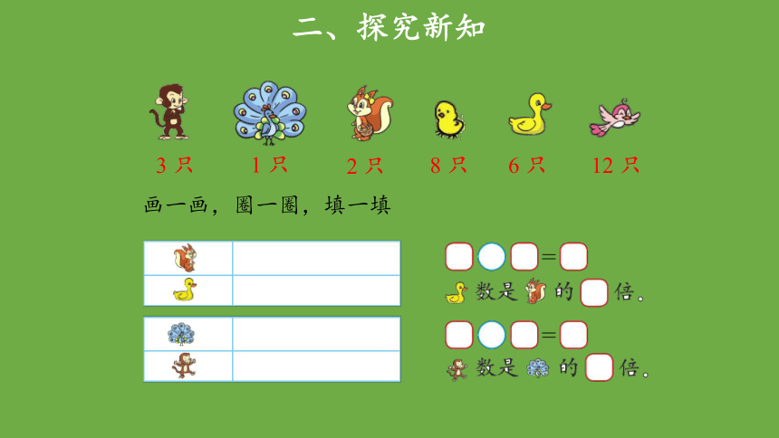 快乐的动物优秀教学课件 北师大版 二年级上册(共13张PPT)