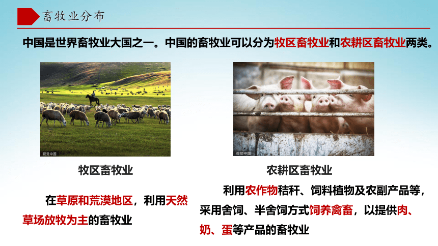 4.1农业（第3课时)  同步课件  初中地理湘教版八年级上册（2022-2023学年）(共17张PPT)