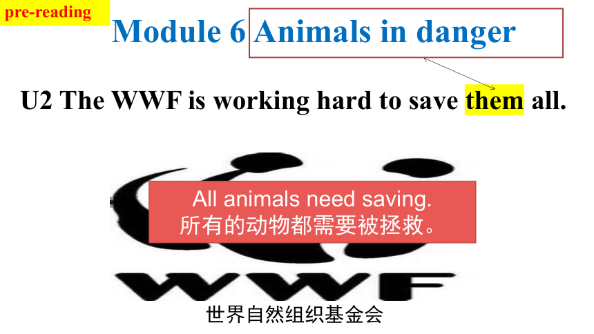 外研版八年级上册 Module 6 Unit 2 The WWF is working hard to save them all.课件  (共26张PPT)