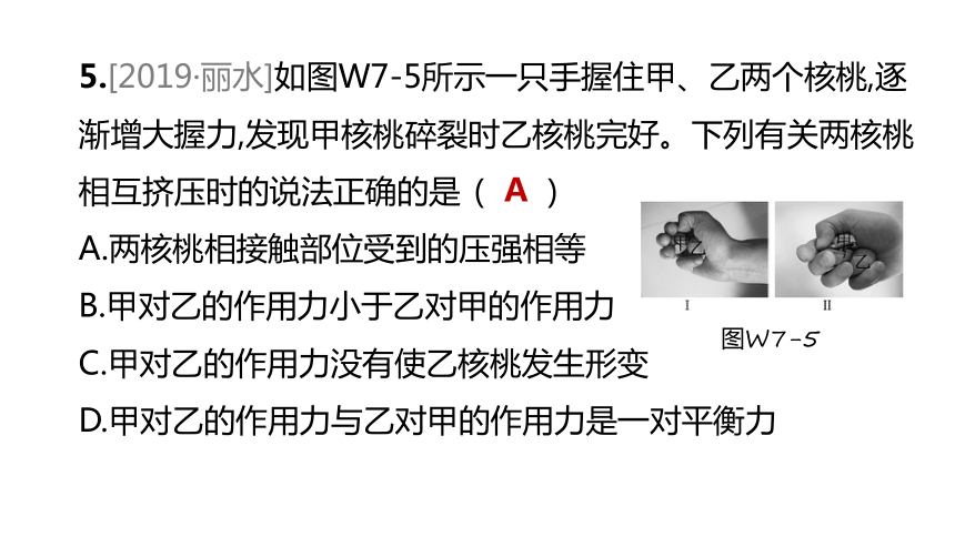 2022年浙江省中考科学一轮复习 第17课时　力　力的测量和表示（课件 38张PPT）