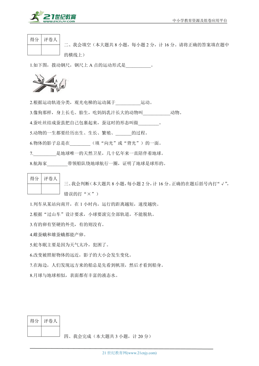 教科版2021-2022学年三年级下册科学期末检测二（含答案）