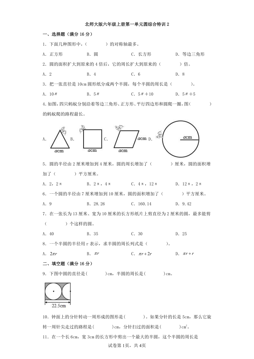 北师大版六年级数学上册第一单元圆综合特训（含答案）2