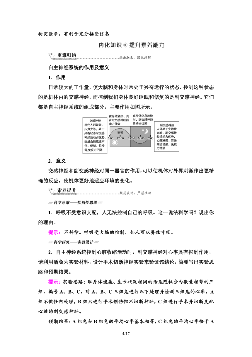 【备考2024】生物高考一轮复习学案：第25讲 神经调节的结构基础和基本方式(含答案）