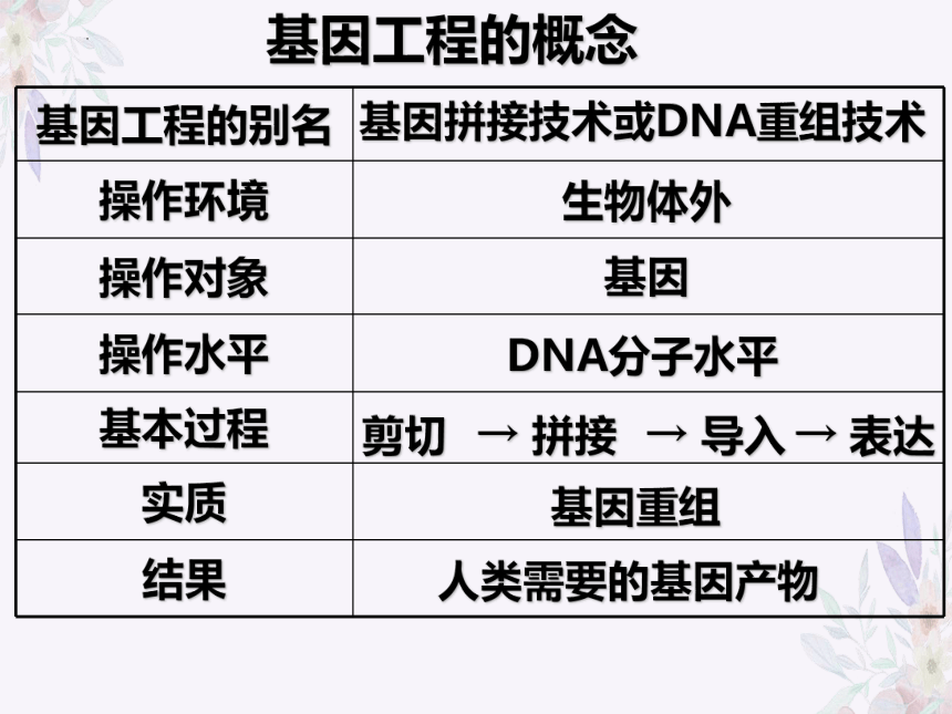 1.1DNA重组技术的基本工具课件（41张ppt）2022-2023学年高二下学期生物人教版选修3