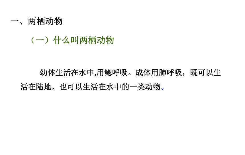 5.1.5 两栖动物和爬行动物  课件(共28张PPT)2021-2022学年人教版生物八年级上册