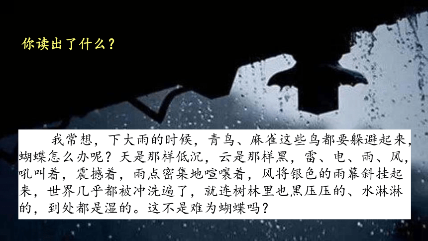 8 蝴蝶的家   课件 (共15张PPT)