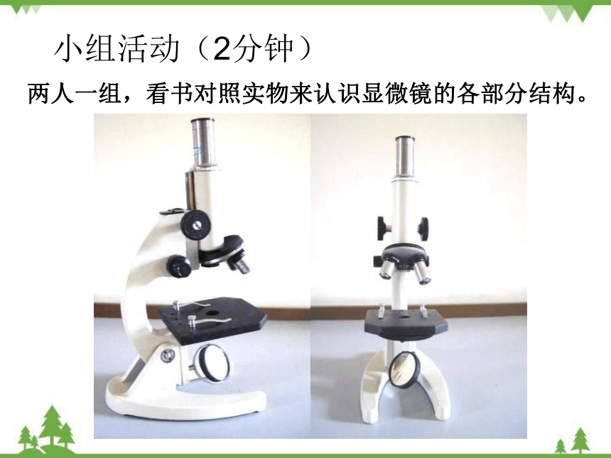 苏教版生物七年级上册 1.2.1探索生命的器具2课件(共19张PPT)