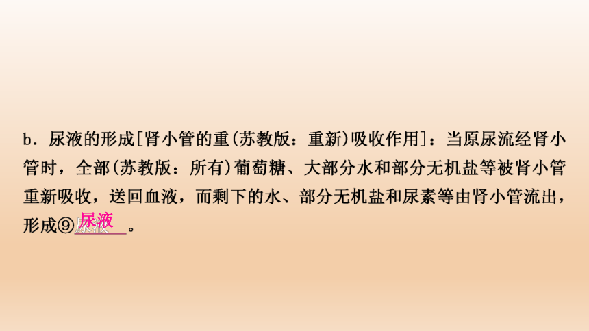 2023年中考生物复习专题★★人体代谢废物的排出.ppt(共27张PPT)