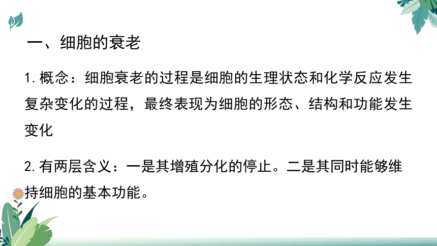 高中生物人教版（2019）必修1-6.3细胞的衰老和死亡（教学课件）（39张ppt）