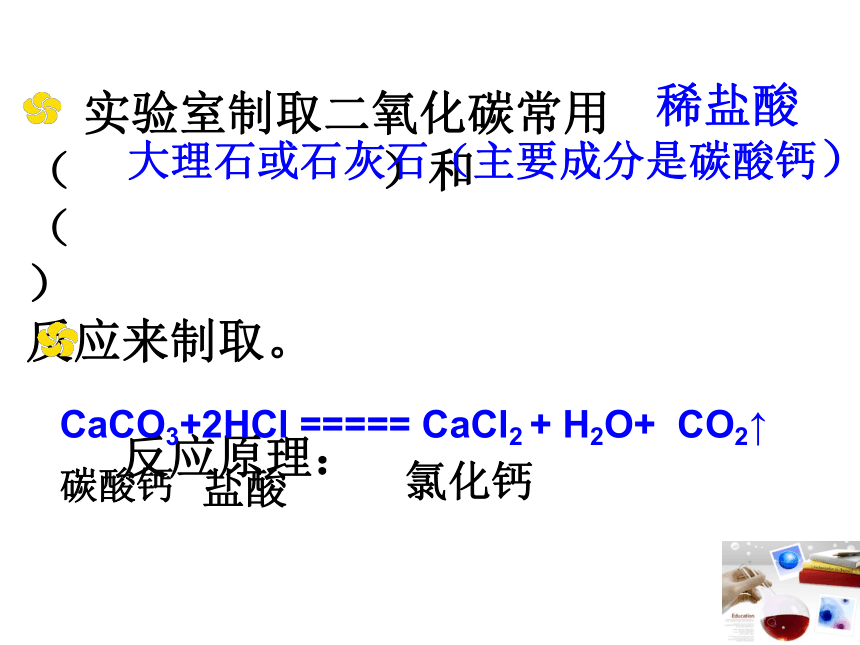 基础实验2 二氧化碳的制取与性质 课件 （共17张PPT）