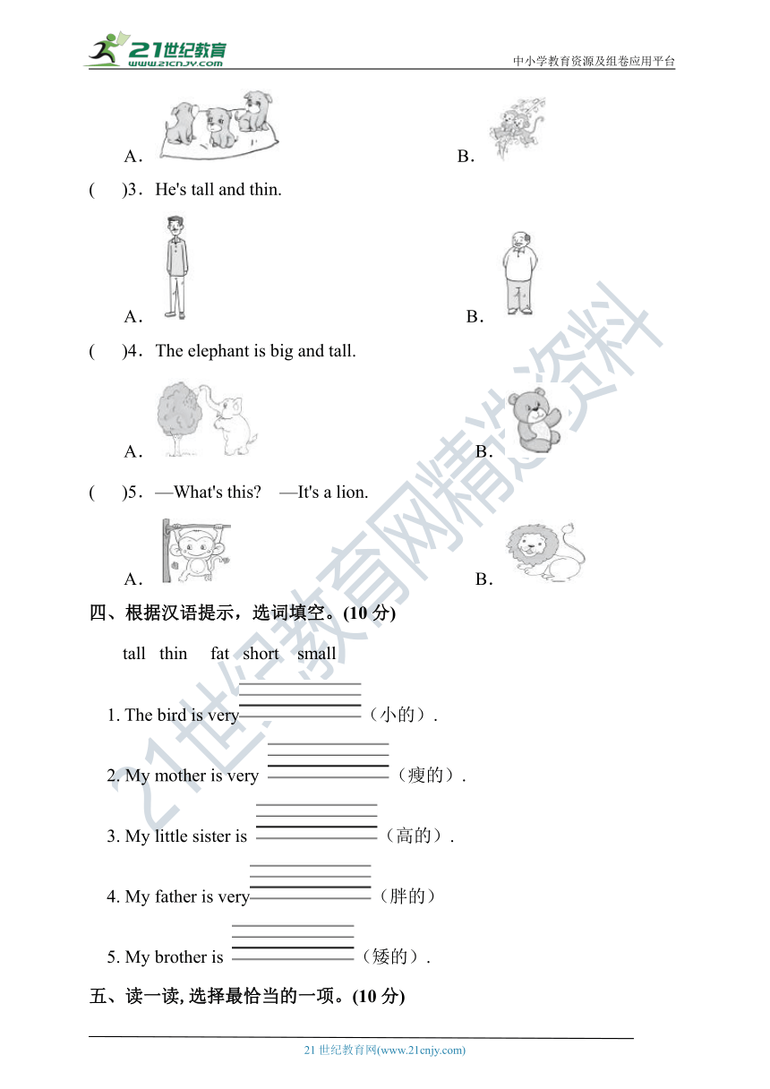 小学英语外研版（三起）三年级下册 Module 2 练习 （含答案）