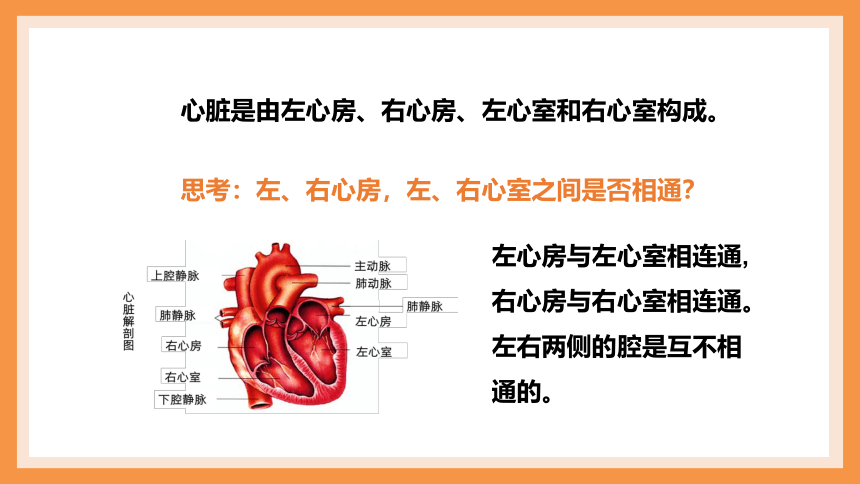 人教版七年级生物下册 4.4.3 输送血液的泵——心脏  课件(共24张PPT)