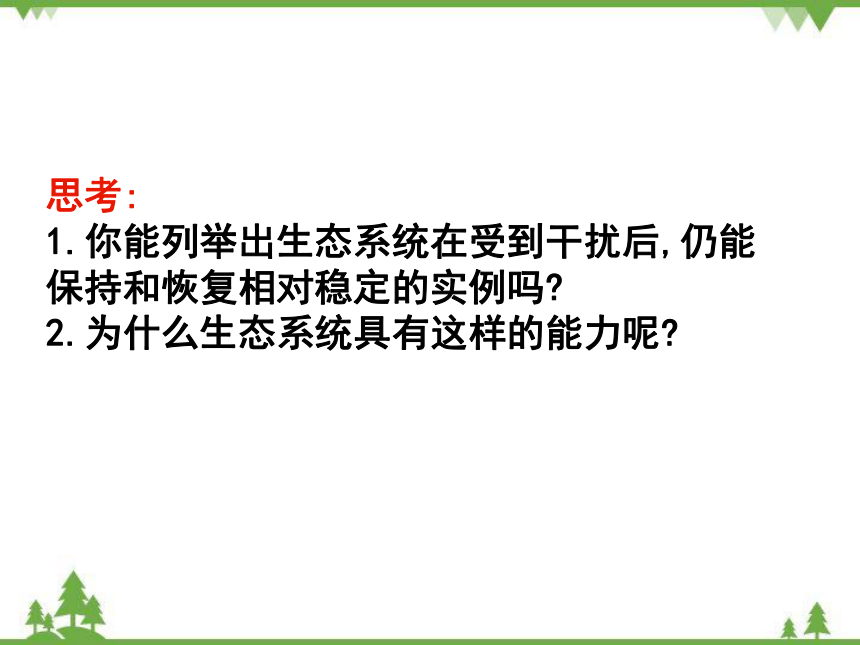 北师大版生物八年级下册 第23章 第4节生态系统的稳定性课件(共59张PPT)