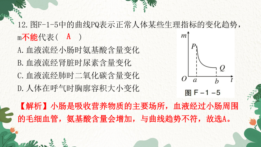 2023年广东省初中学业水平考试仿真试卷(一)课件(共42张PPT)