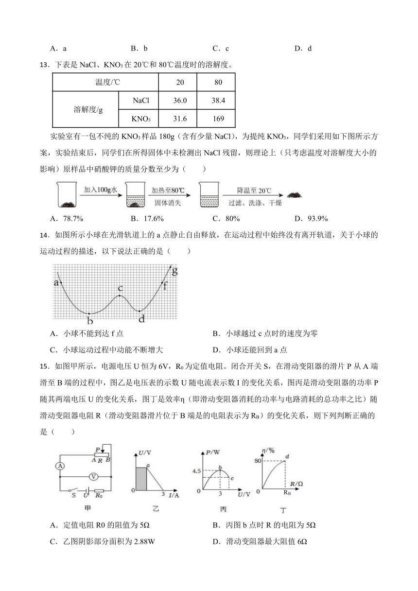 浙江省温州市瓯海区外国语学校2023-2024学年九年级下学期科学一模试卷（word版，含答案）