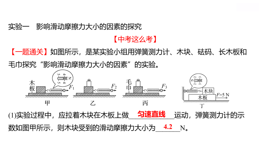 2022 物理 八年级下册专项培优练三　力和机械的实验 习题课件(共15张PPT)