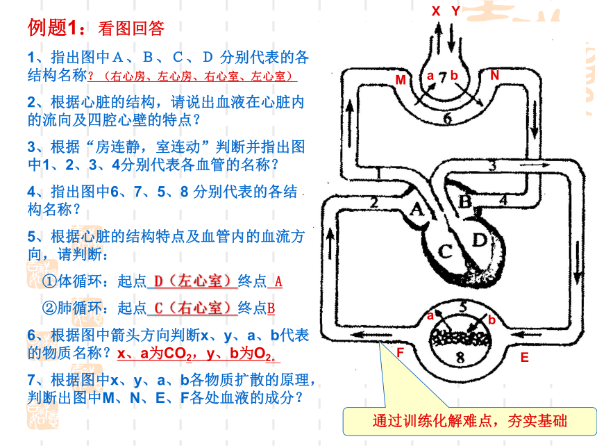 初中生物中考复习方法与策略课件（40张PPT）