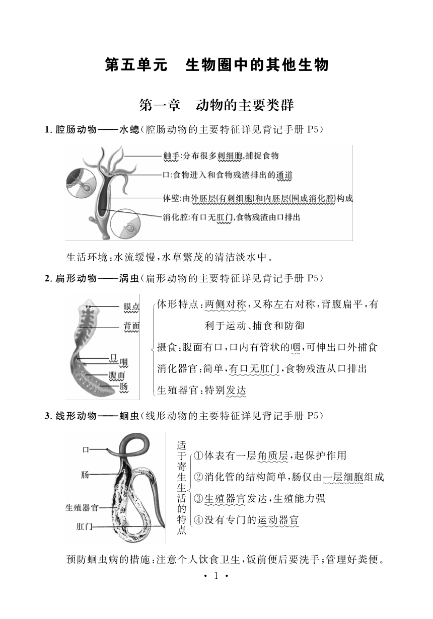 人教版生物八年级上册背诵资料（PDF版）