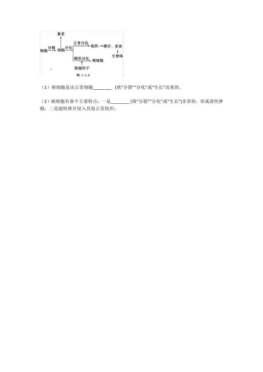 2.3生物体的结构层次同步练习---2021—2022学年浙教版七上科学（含答案）