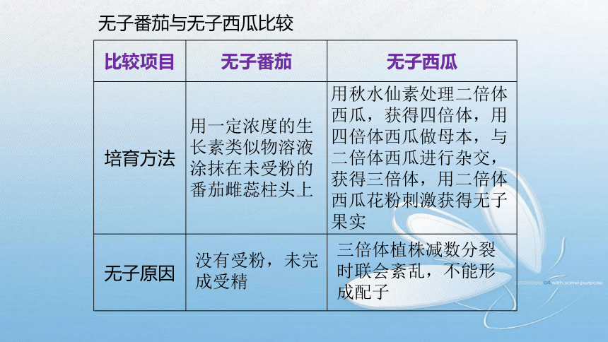 2021-2022学年高二上学期生物人教版(2019)选择性必修1.5.3 植物生物调节剂的应用课件1(33张ppt）