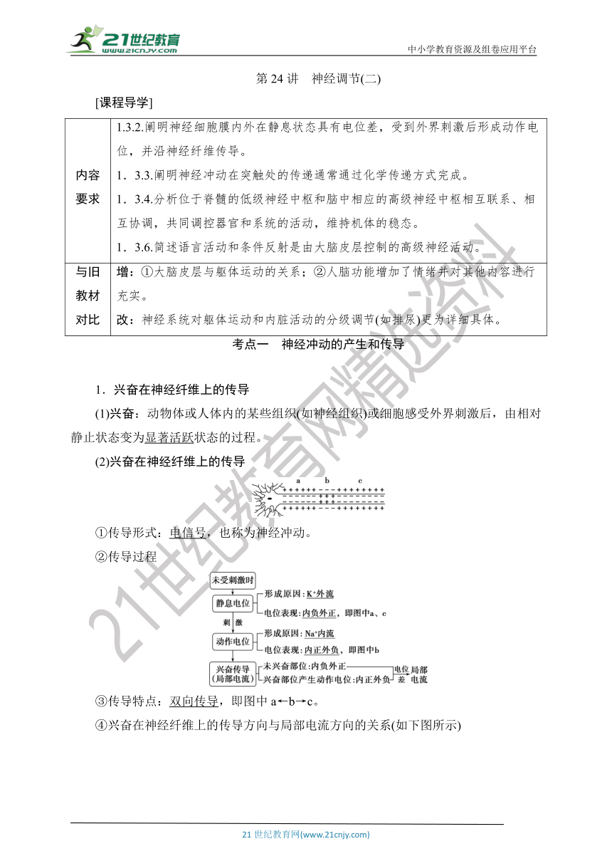 【考点梳理  生物总复习 】50第24讲　神经调节(二)