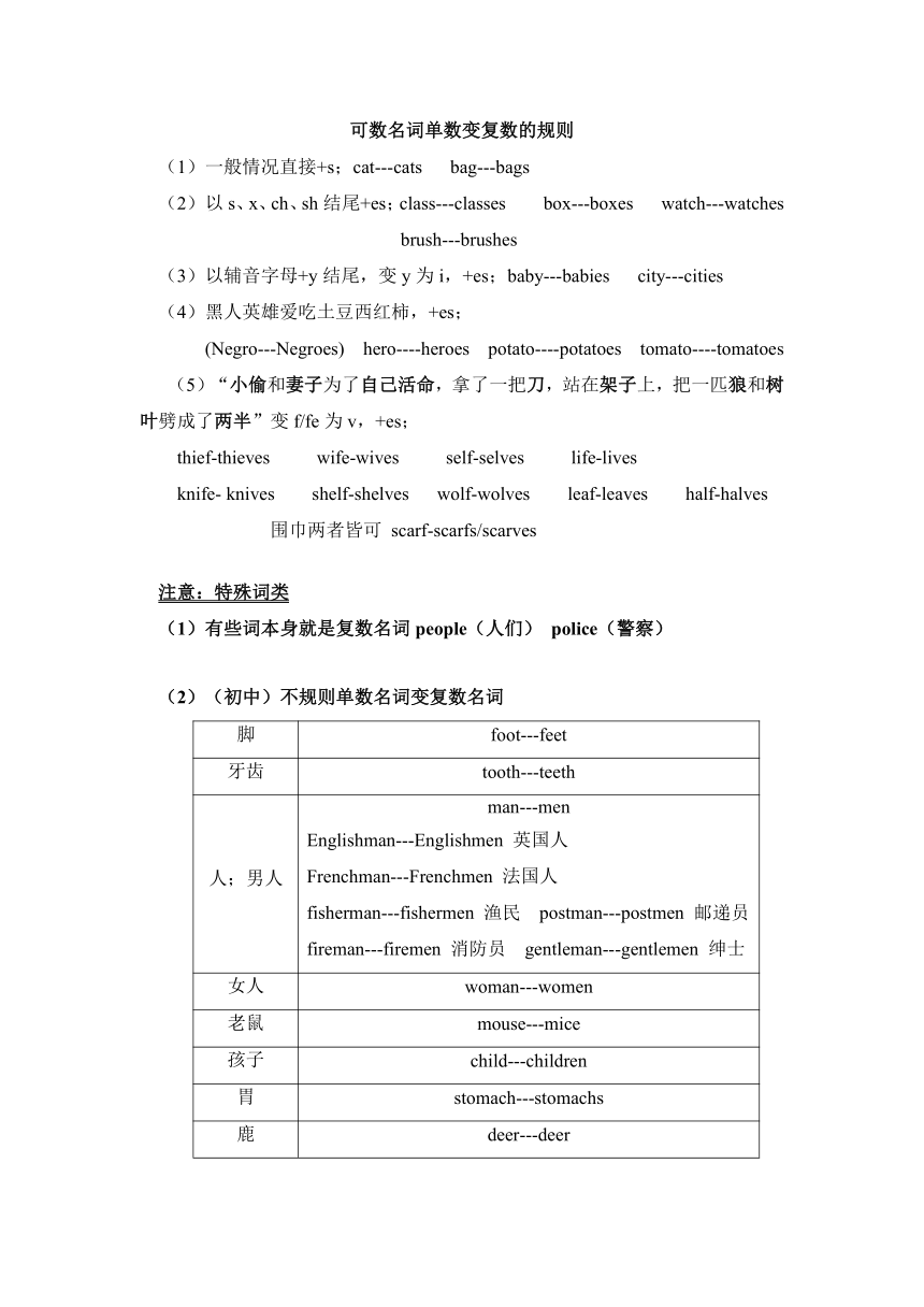 2024年人教版英语中考名词知识复习讲义