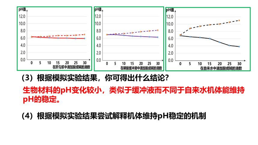 生物人教版（2019）选择性必修1 1.2内环境的稳态（共41张ppt）