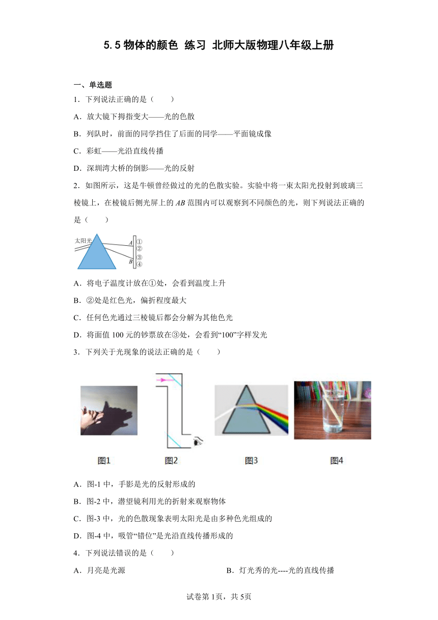 5.5物体的颜色 练习 北师大版物理八年级上册(含答案)
