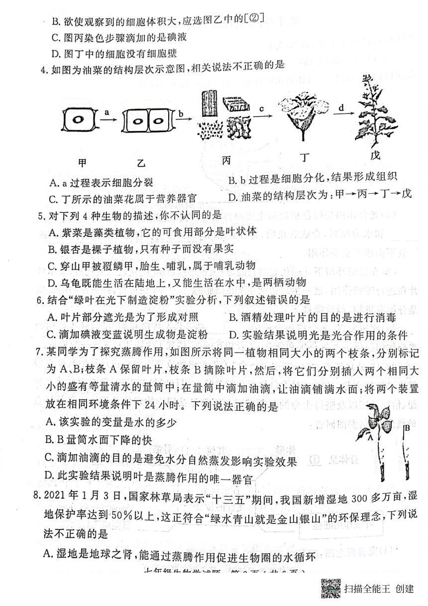 山东省济宁市梁山县2022-2023学年七年级上学期期末考试生物试题（PDF版无答案）