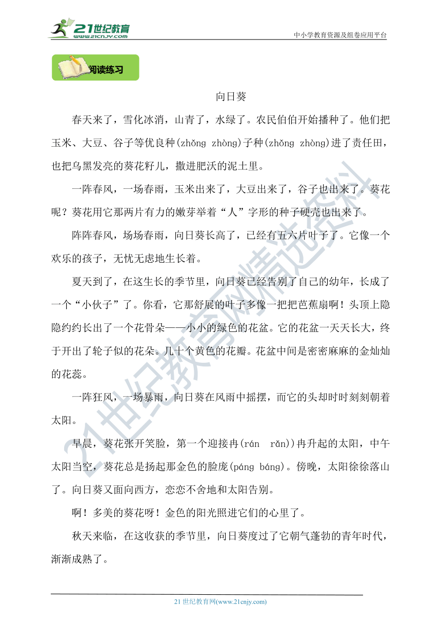 【每日一课】16.夏天里的成长 第二课时 课后辅导阅读小练习（含答案）