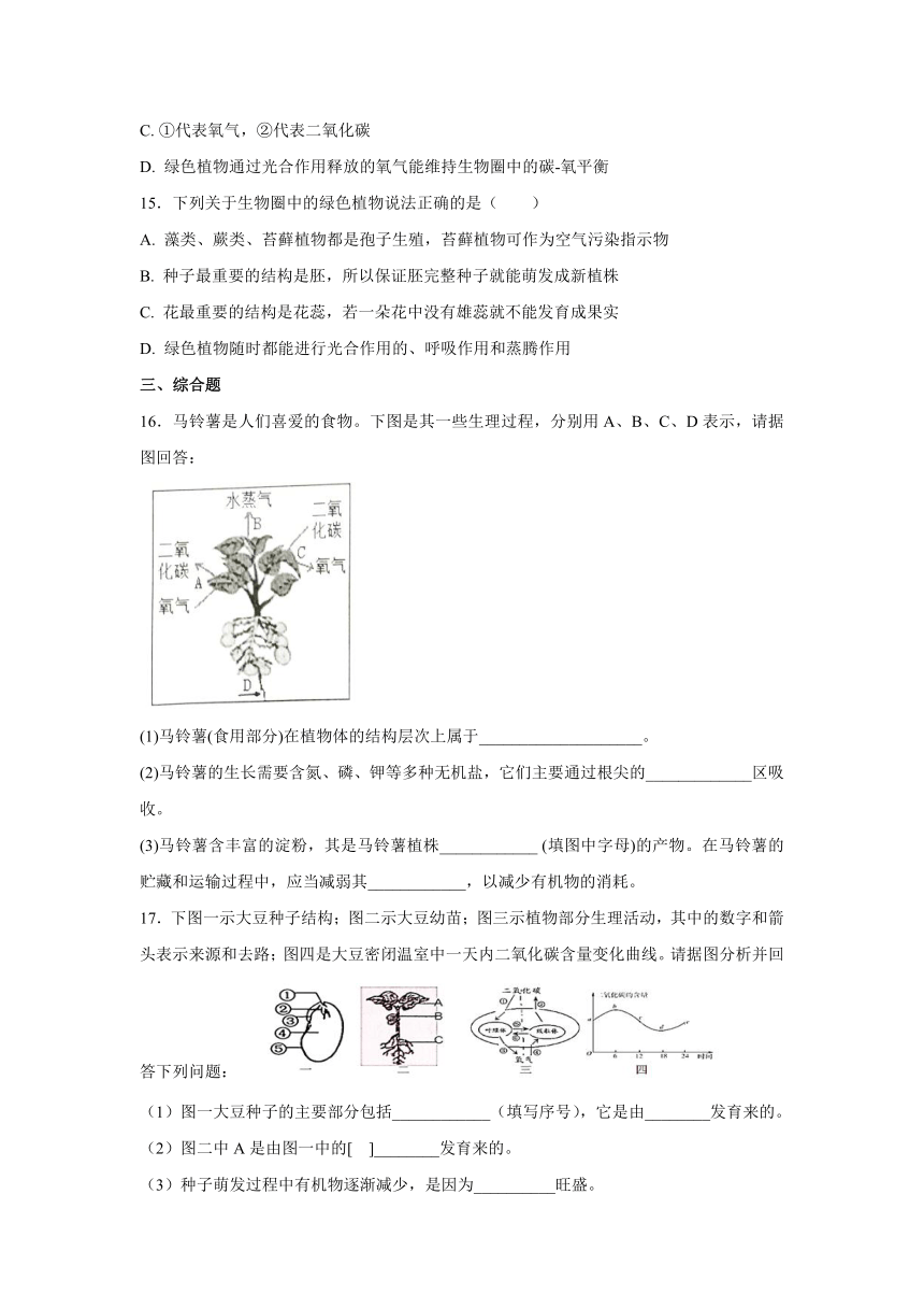 【会考专训】中考生物会考复习专项训练11：绿色植物的光合作用与呼吸作用（含解析）