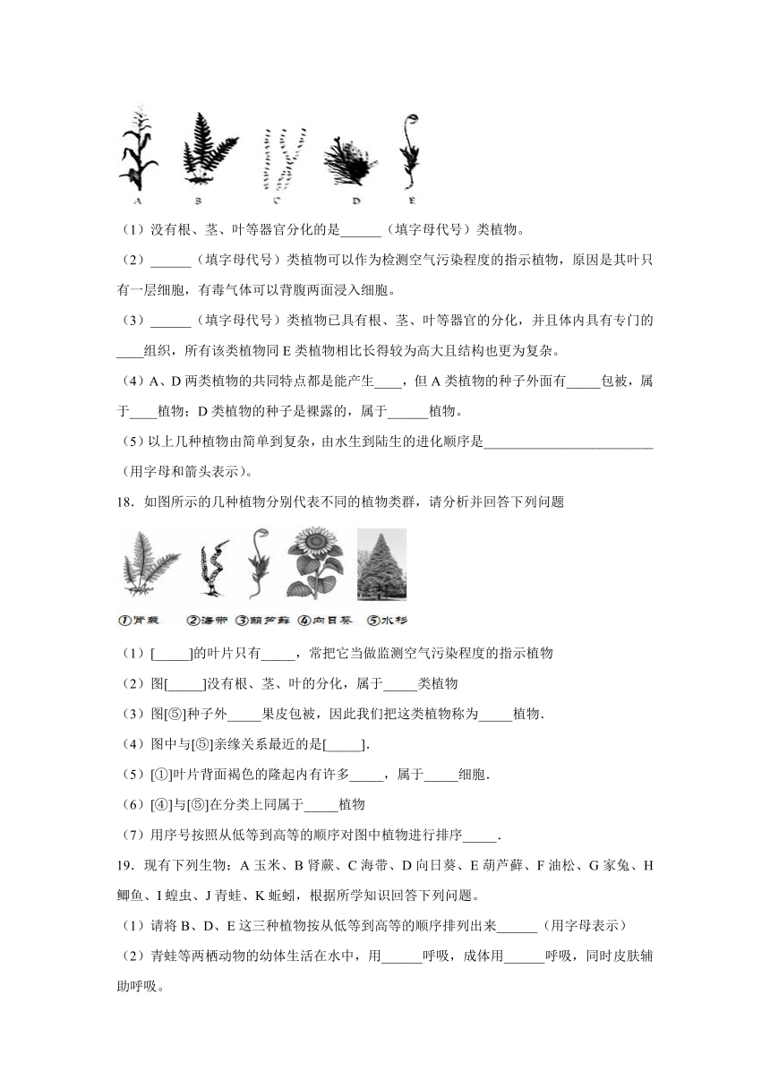 【会考专训】中考生物会考复习专项训练1：生物圈中的绿色植物（含解析）