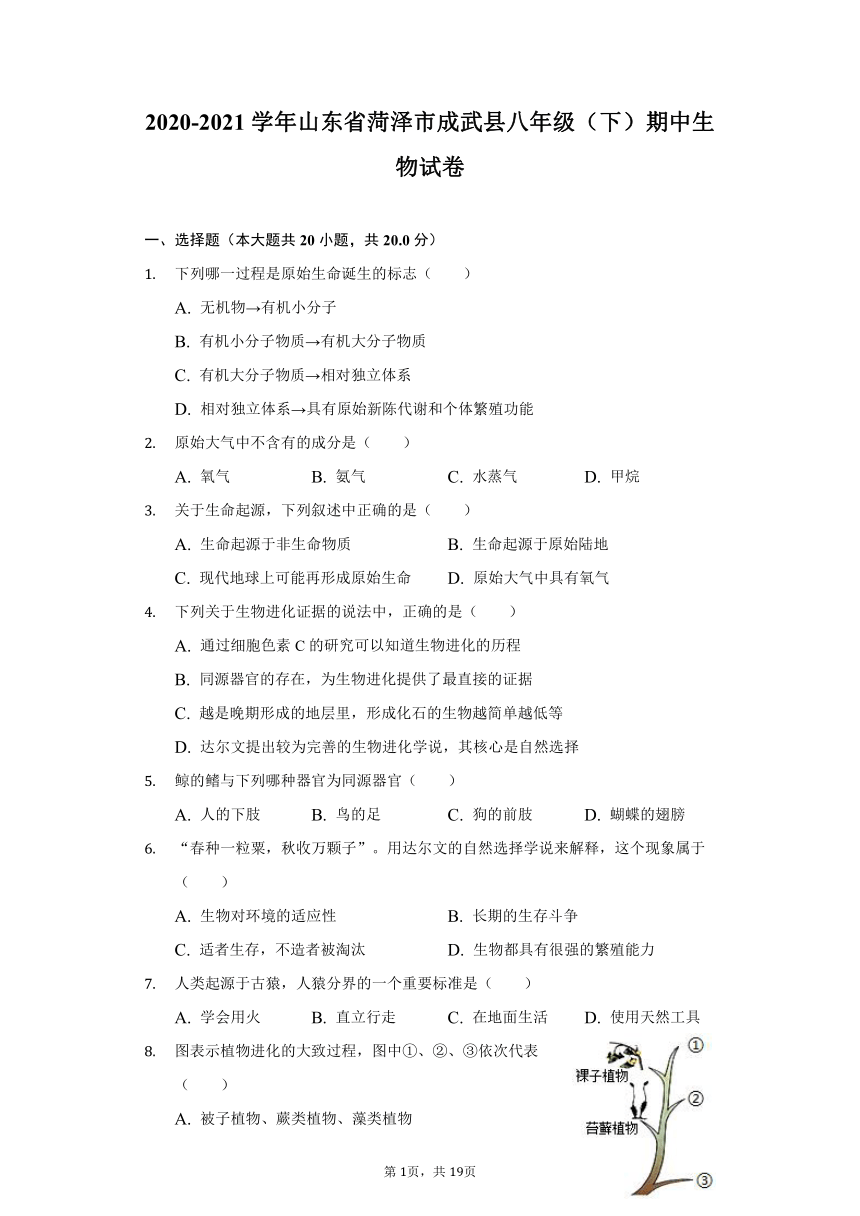 2020-2021学年山东省菏泽市成武县八年级（下）期中生物试卷（word版含解析）