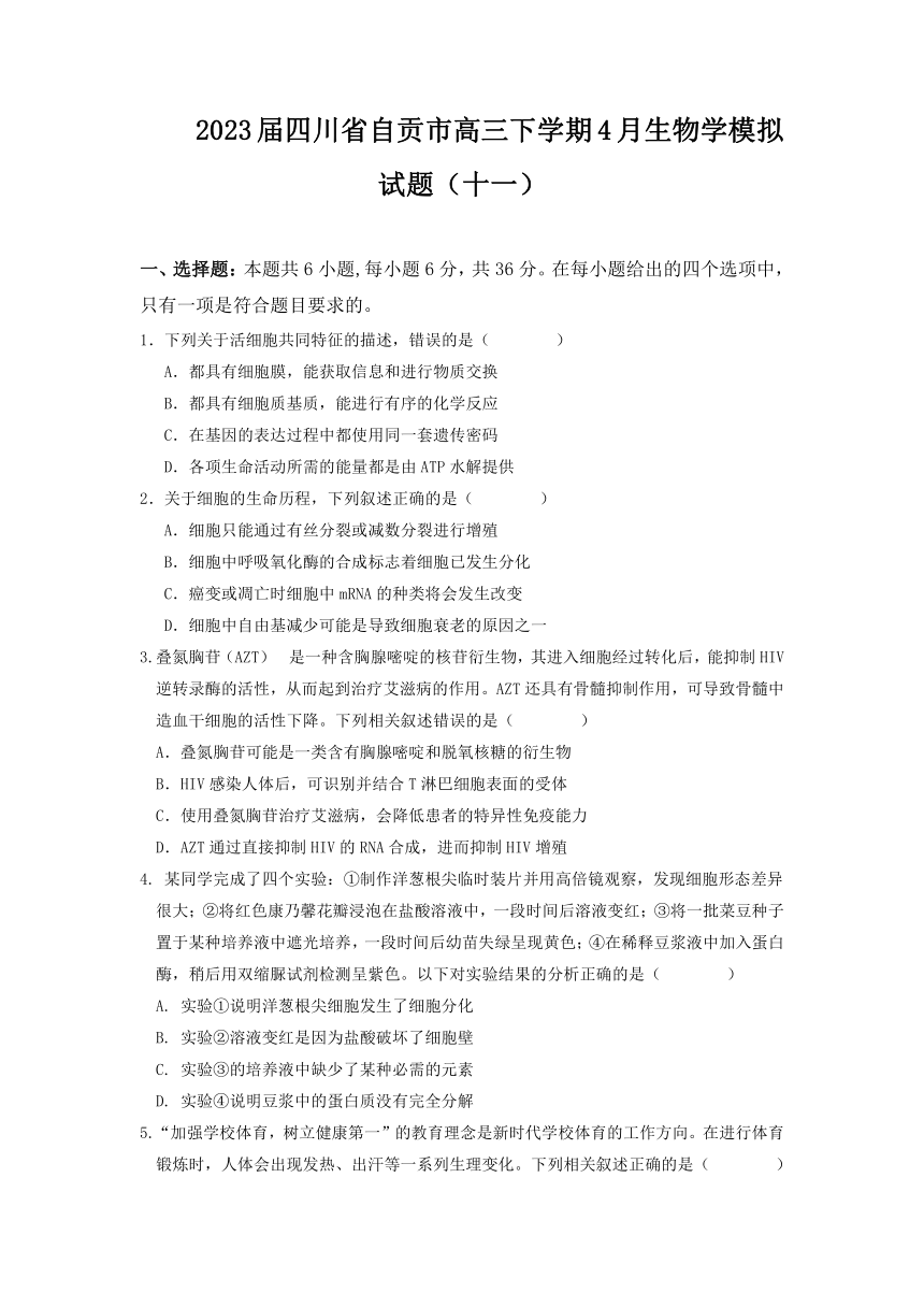 2023届四川省自贡市高三下学期4月生物学模拟试题（十一）（Word版含答案）