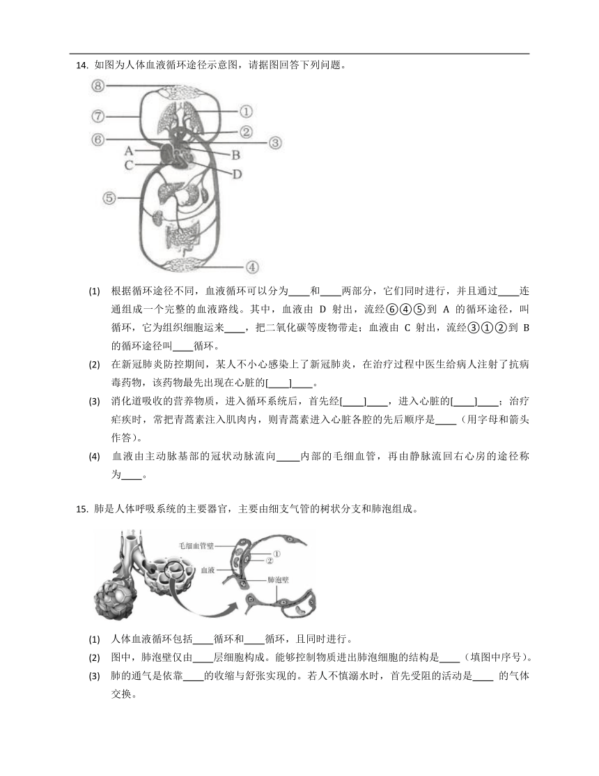 鲁科版七年级上4.4.3物质运输的途径练习（含答案）