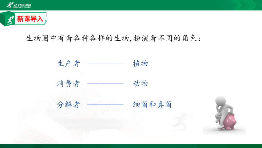 5.1.1腔肠动物和扁形动物课件（共39张PPT）（内含嵌入视频）