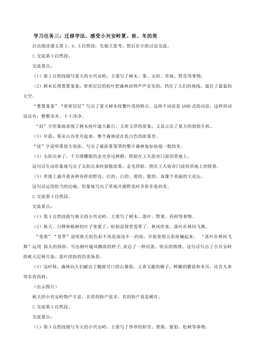 20.《美丽的小兴安岭》第二课时教案（表格式）