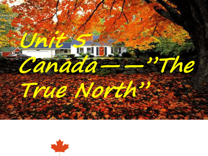 人教版高中英语必修三 unit 5Canada – “The True North”   Reading A trip on the true north 课件（共43张PPT）