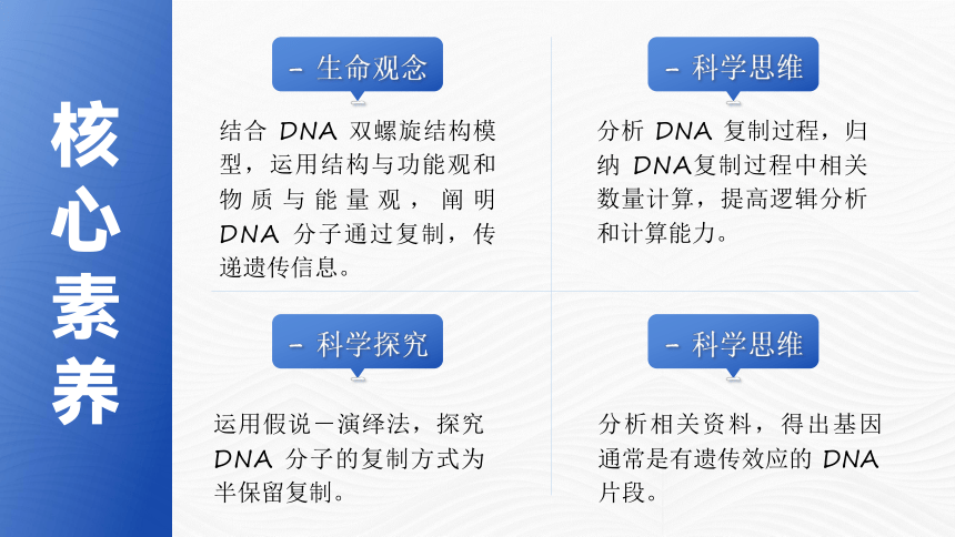 3.3 DNA 的复制课件(共28张PPT)人教版必修2