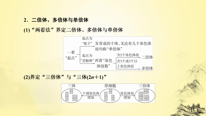 新人教生物二轮复习课件8 生物的变异、育种和进化(课件共77张PPT)