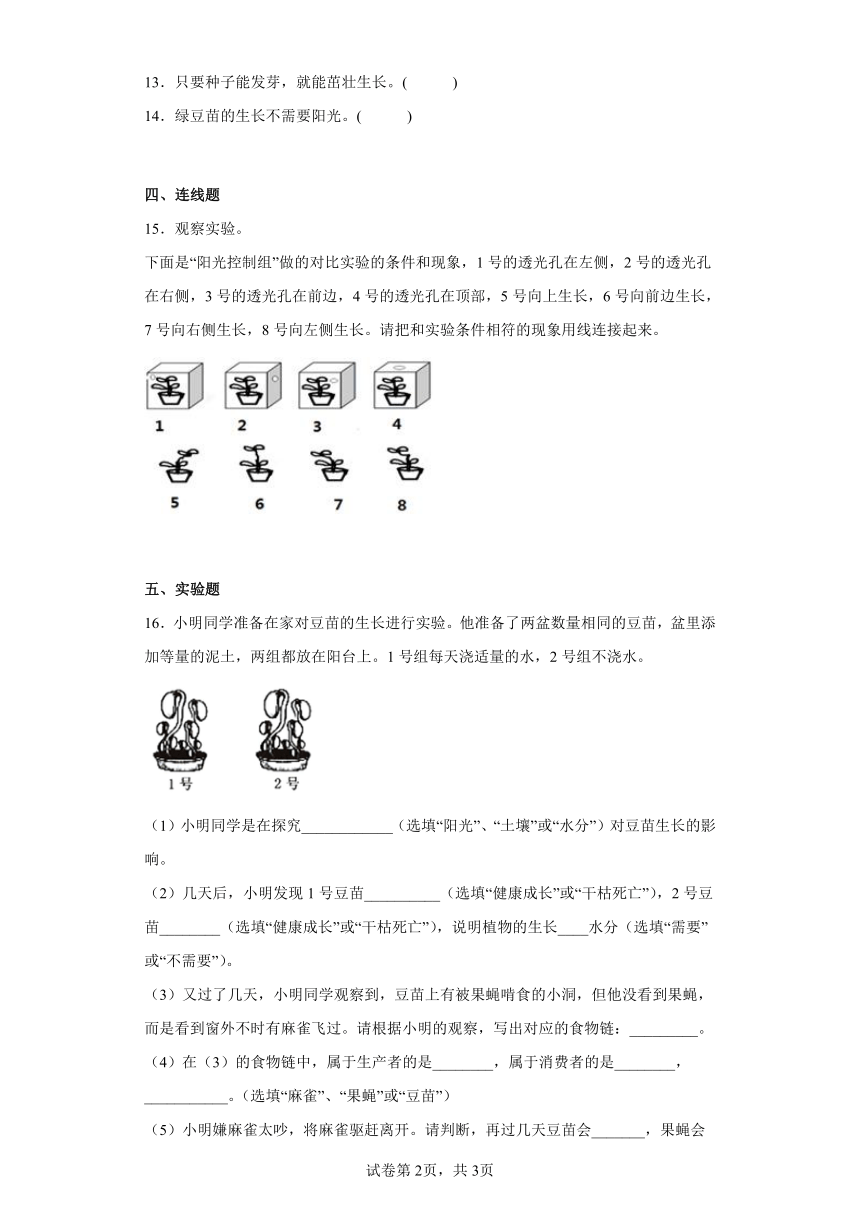 教科版（2017秋）五年级科学下册1.3绿豆苗的生长（同步练习）（含答案）