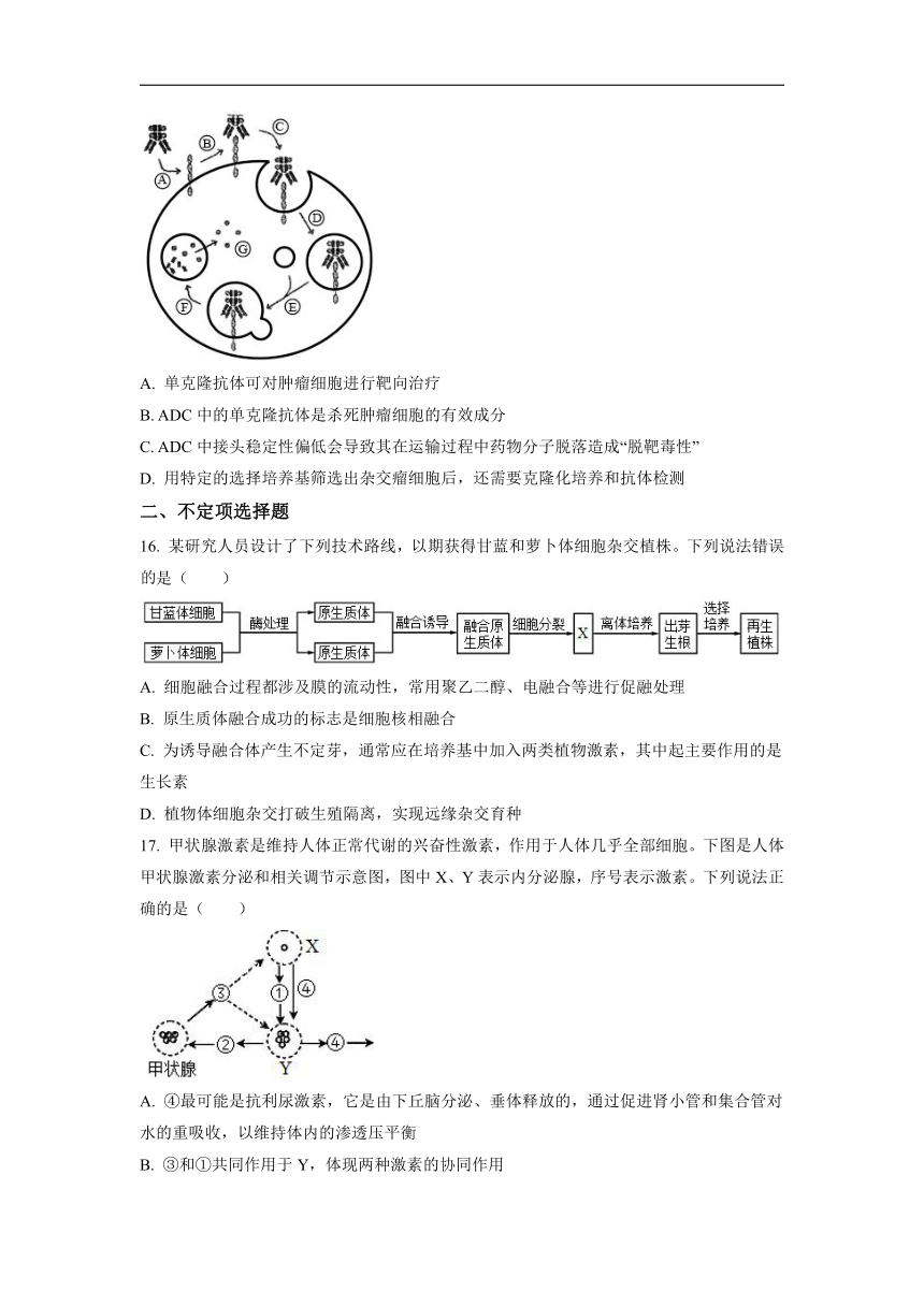 【生物】辽宁省铁岭市六校2022届高三上学期期末（word版含答案）