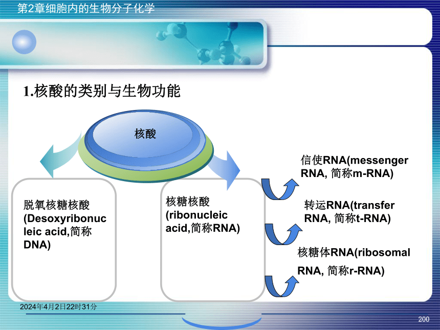 2.5核酸化学 课件(共47张PPT）- 《环境生物化学》同步教学（机工版·2020）