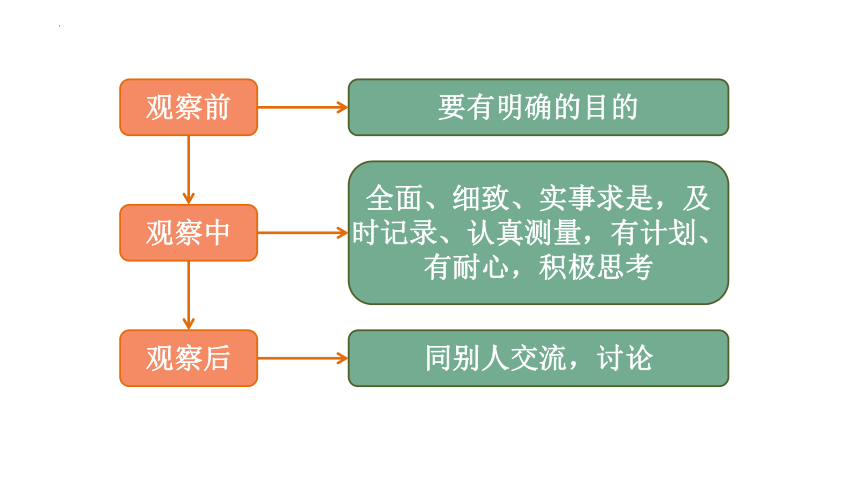 1.1.1生物的特征课件(共27张PPT)2022—2023学年人教版生物七年级上册