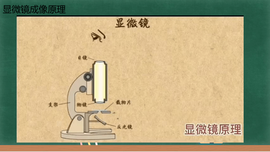 5.5 显微镜和望远镜课件 2022-2023学年人教版物理八年级上册(共18张PPT)