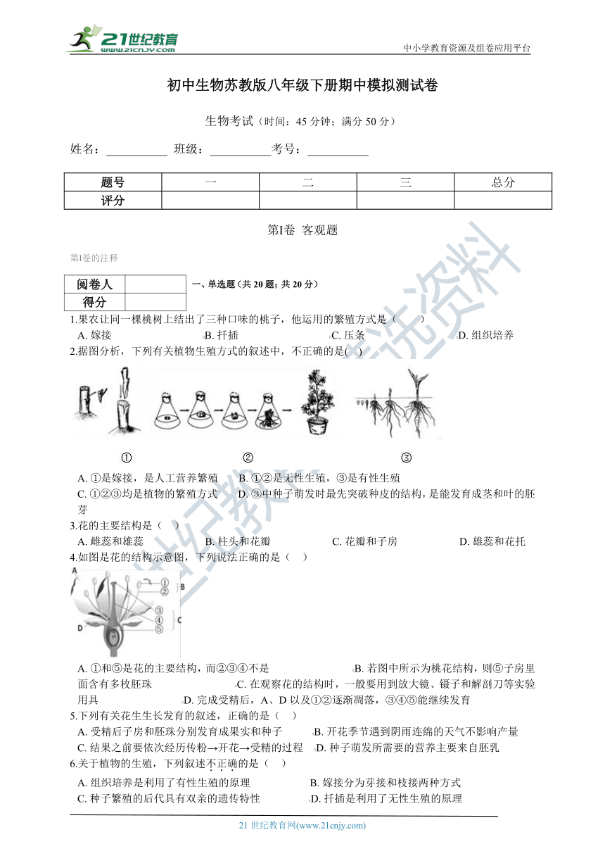 初中生物苏教版八年级下册期中模拟测试卷（含解析）